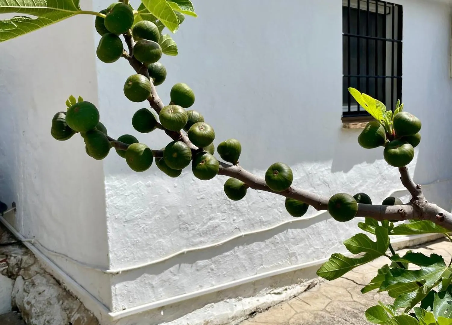 Finca El Sueno Andaluz Villanueva de la Concepción Spanien