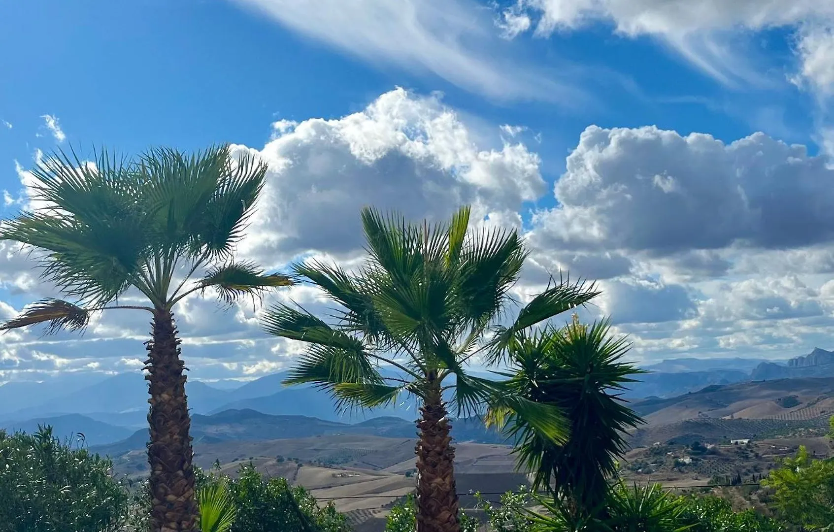 Finca El Sueno Andaluz Villanueva de la Concepción